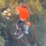 Familia del niño que cayó de una tirolesa presenta una demanda por el accidente: «Sigue en shock»