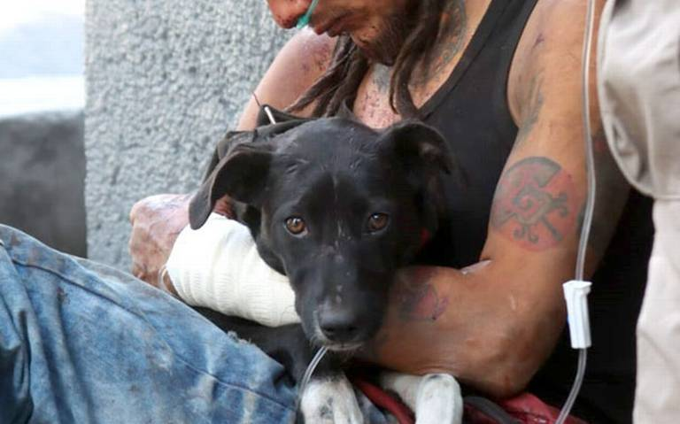Migrante recibió brutal golpiza, en la Doctores; su mascota, leal a él, nunca lo dejó solo