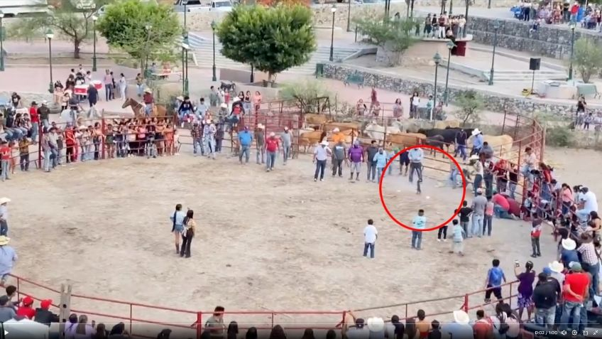 ¡Crueldad animal en Guanajuato! Comunidad amarró fuegos artificiales a gatos para realizar carreras en Xichú