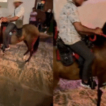 Captan a hombres en estado de ebriedad forzando a caballos a caminar sin descanso ni agua en una feria