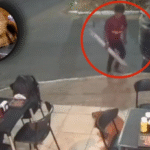 Sujeto deja inconsciente a perrita de la calle tras golpearla con enorme madera, ya fue detenido