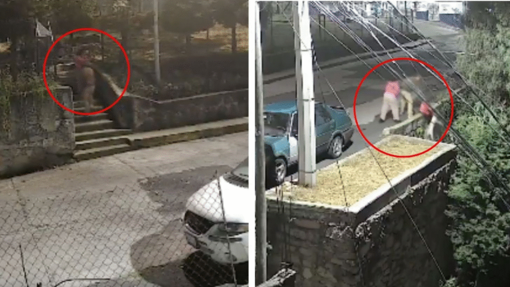 Pareja lanza a cachorrito en calles de Naucalpan, piden ayuda para identificarlos