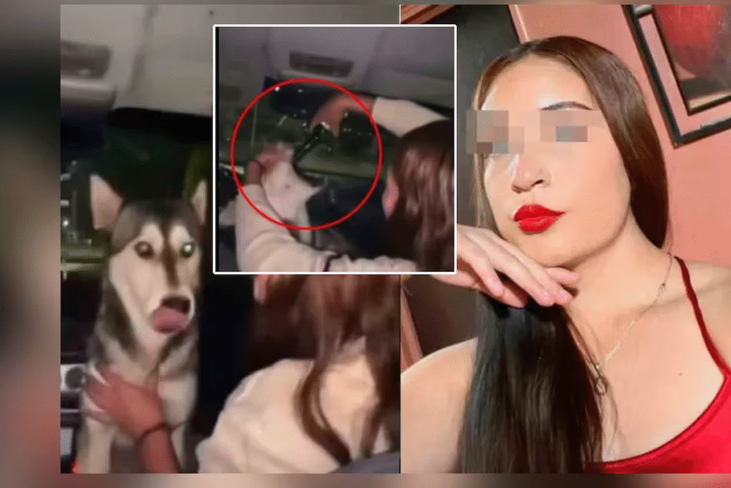 Identifican a una joven que dio alcohol a una perrita y la expulsan de la Universidad Pedagógica Nacional