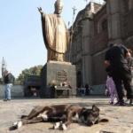 Lanzan Operativo Perrito Peregrino para evitar el abandono animal durante festejos guadalupanos