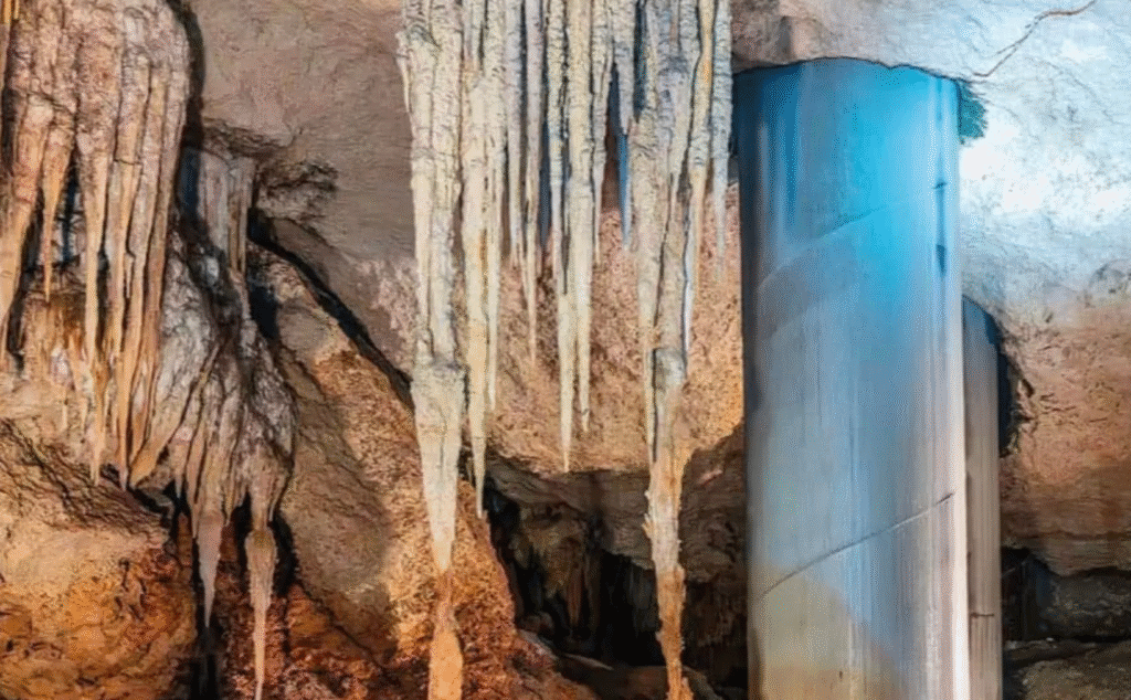 Sélvame MX denuncia pilotes dañados del Tren Maya en el Tramo 5 Sur